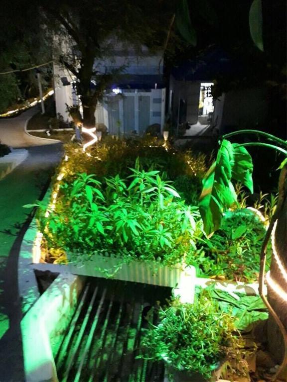 Nostress Guest House Μούι Νε Εξωτερικό φωτογραφία