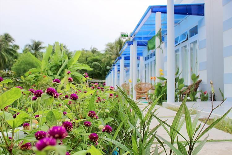 Nostress Guest House Μούι Νε Εξωτερικό φωτογραφία